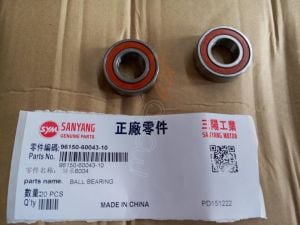 RADIAL BALL BEARING 6004