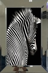 Aynalı Tablo, Zebra