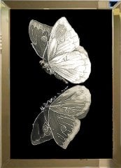 Aynalı Tablo, Kırık beyaz Kelebek