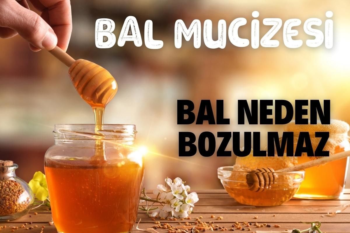 Bal niçin bozulmaz ?