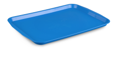 Plastport  Servis Tepsisi 27x36 cm - Mavi