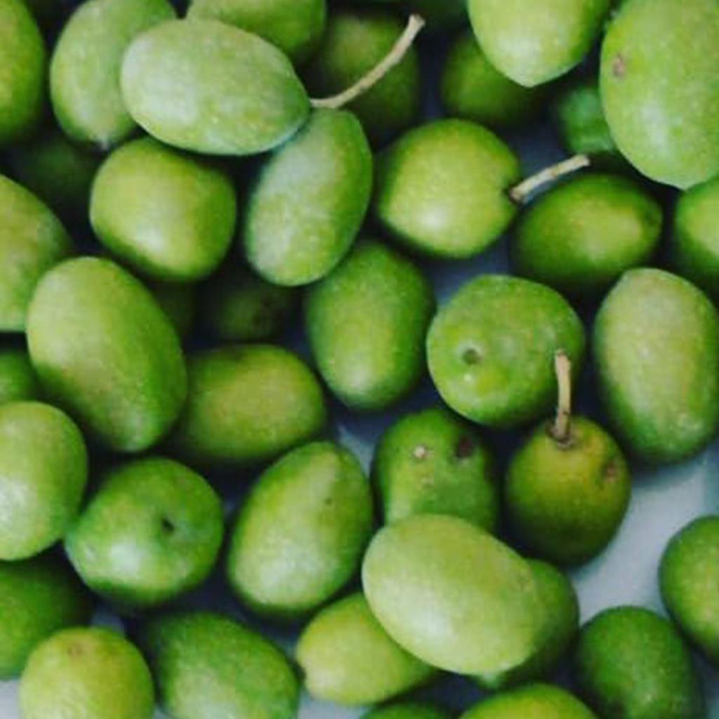 Naturel Orta Boy Sarı Ulak Zeytini (10 kg)