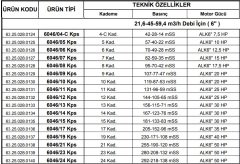 Alarko  6046/10 Kps  20Hp  6'' Paslanmaz Derin Kuyu Dalgıç Pompa (Motor+Pompa) ALK-KPS Serisi