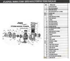 Atlas Pool Storm Model 5.5hp Havuz Pompası Mekanik Salmastra