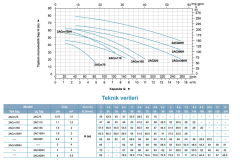 Leo 2ACm 150 H 2hp 220v Çift Kademeli Santrifüj Pompa