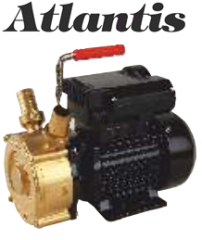 Atlantis Blu YAG 40m 0.5hp 220v Yağ Aktarım Pompası (dk/2800 devir)