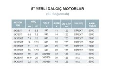 Atlantis Blu 5K1250T  12.5Hp 380V   5'' Yerli Dalgıç Motor