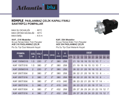 Atlantis Blu Kaf 300t/316 3hp 380v Komple Paslanmaz Kapalı Fanlı Santrifüj Pompa