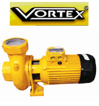 Vortex CS 300 M 3hp 220v Santrifüj Pompa