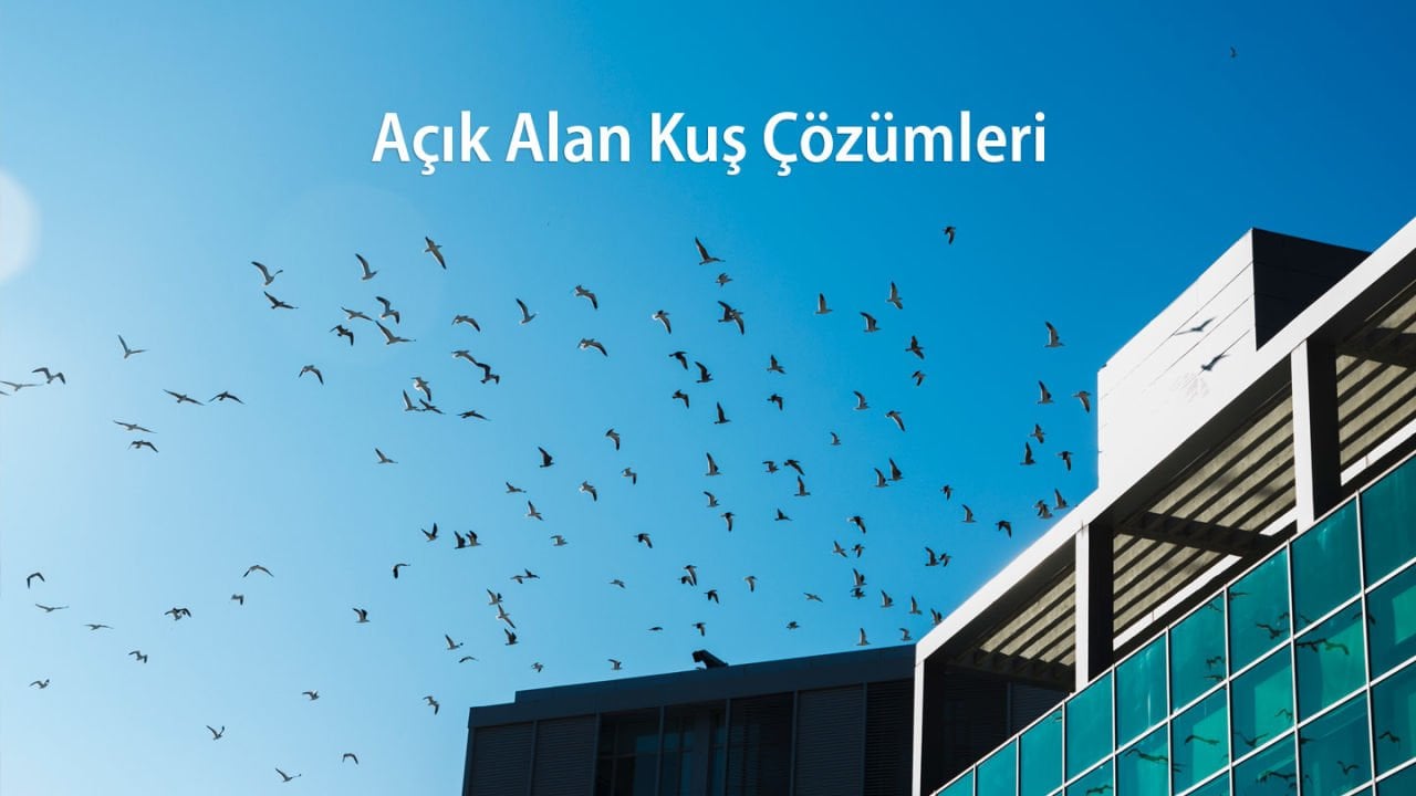 Açık Alanlarda Kuşlara Özel Çözümler