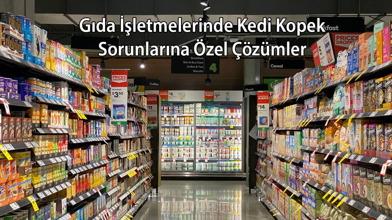 Gıda İşletmelerinde Kedi Köpeklere Özel Çözümler