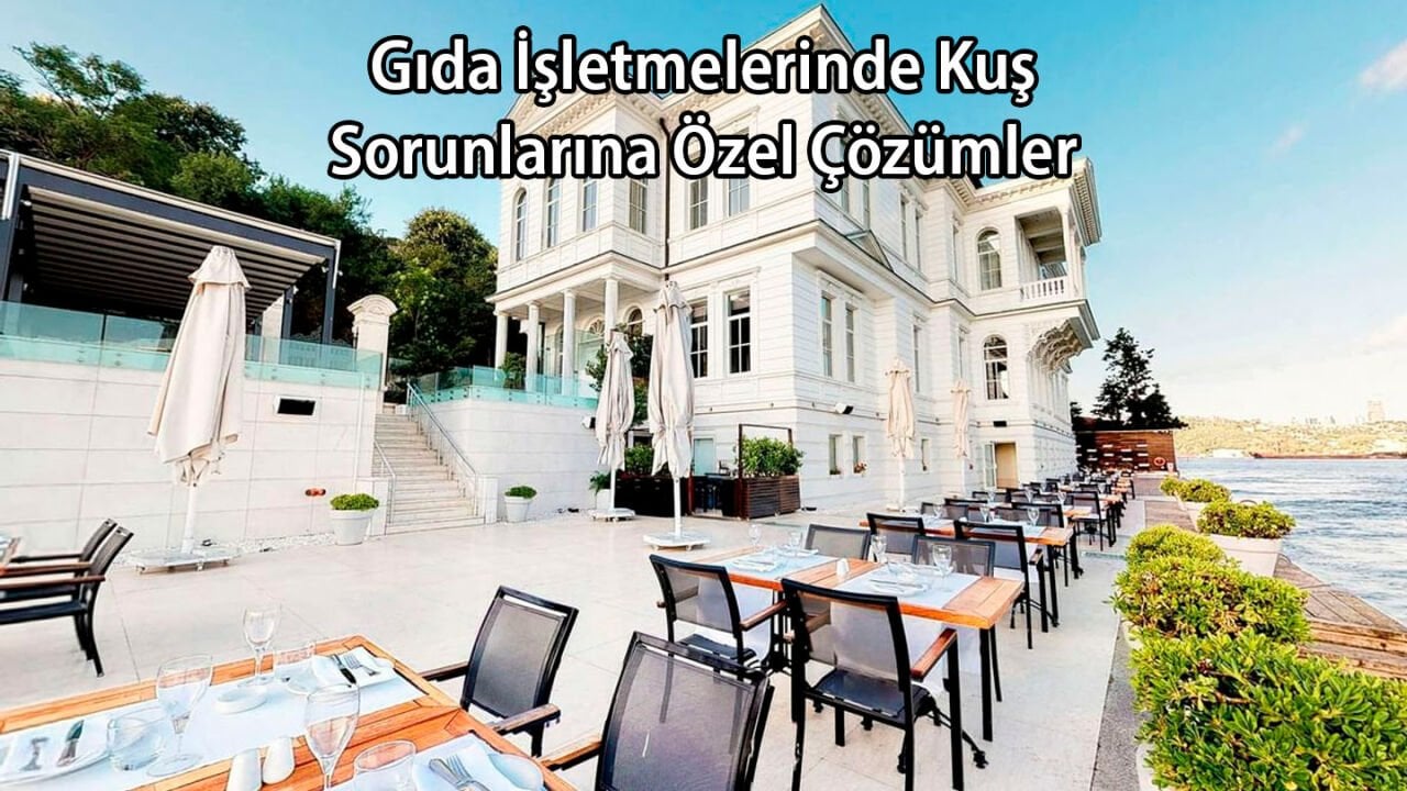 Gıda İşletmelerinde Kuşlara Özel Çözümler