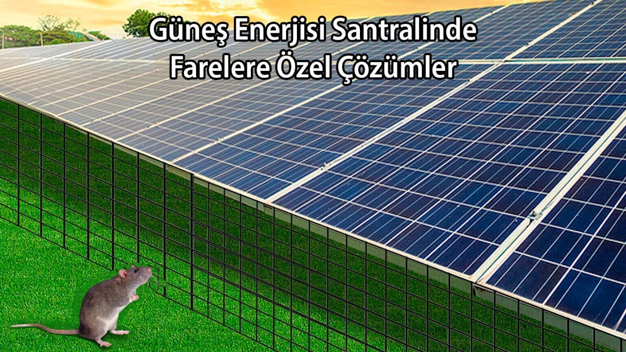 Güneş Enerji Santralinde Farelere Özel Çözümler