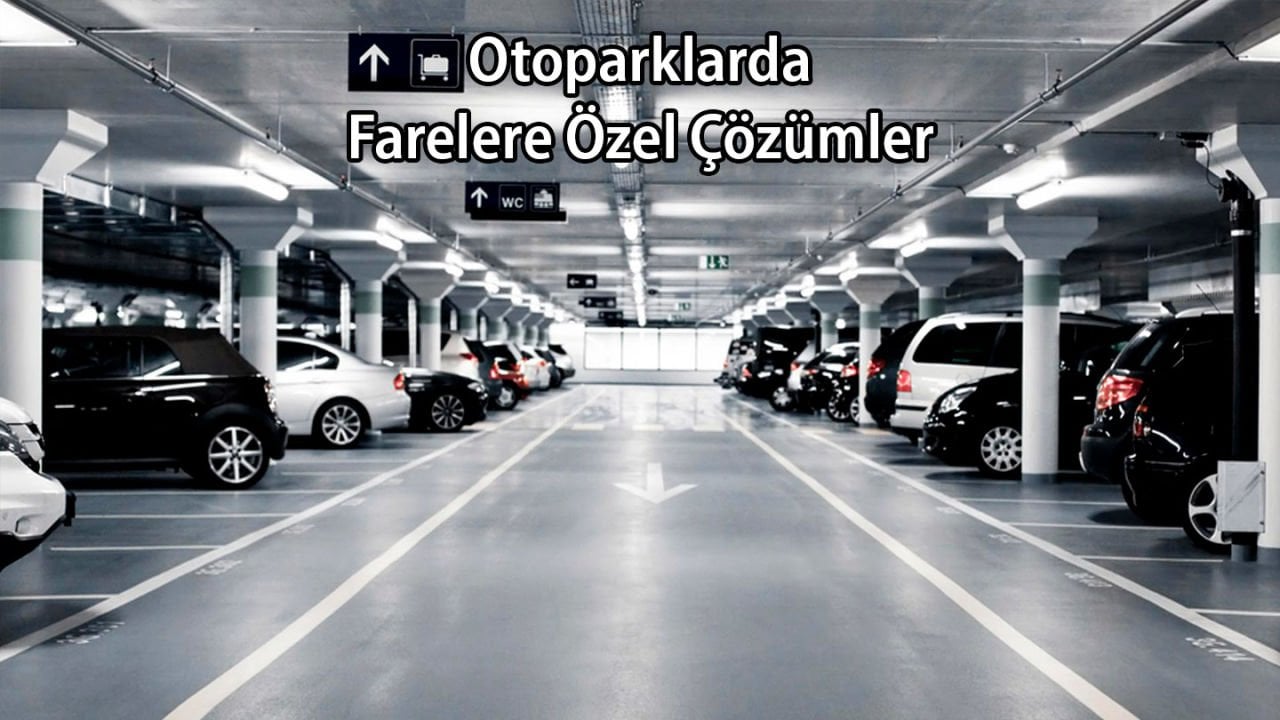 Otoparkta Fareye Özel Çözümler