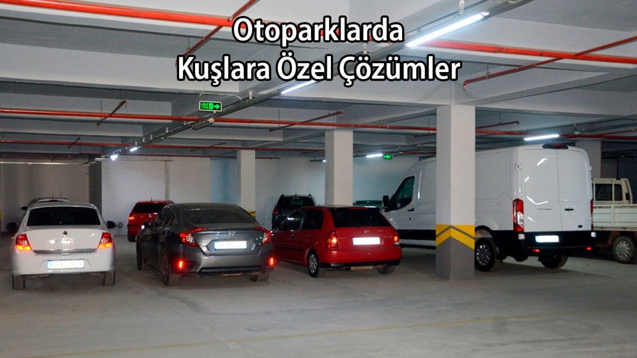 Otoparkta Kuşlara Özel Çözümleri