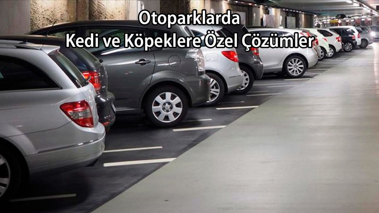 Otoparkta Kedi Köpeğe Özel Çözümler