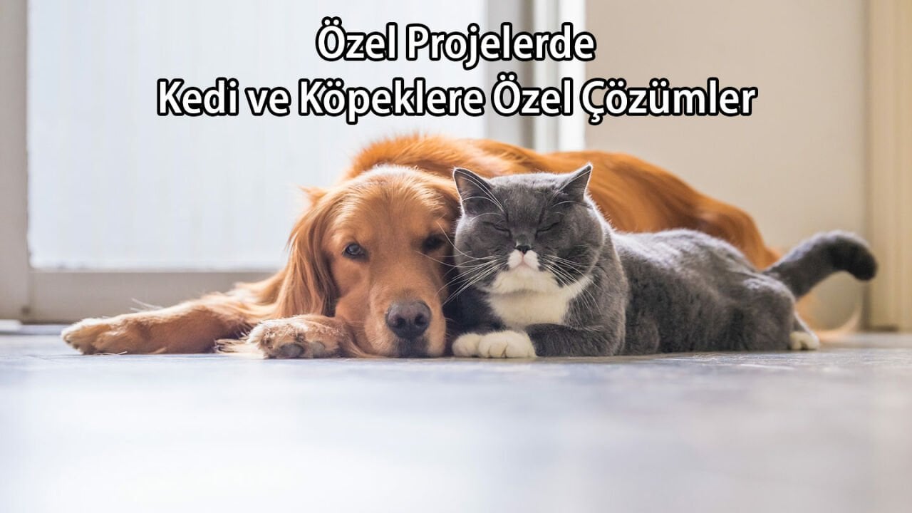 Özel Projelerde Kedi ve Köpeğe Özel Çözümler