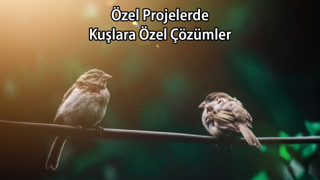 Özel Projelerde Kuşlara Özel Çözümler