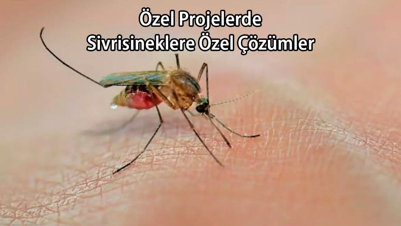 Özel Projelerde Sivrisineğe Özel Çözümler