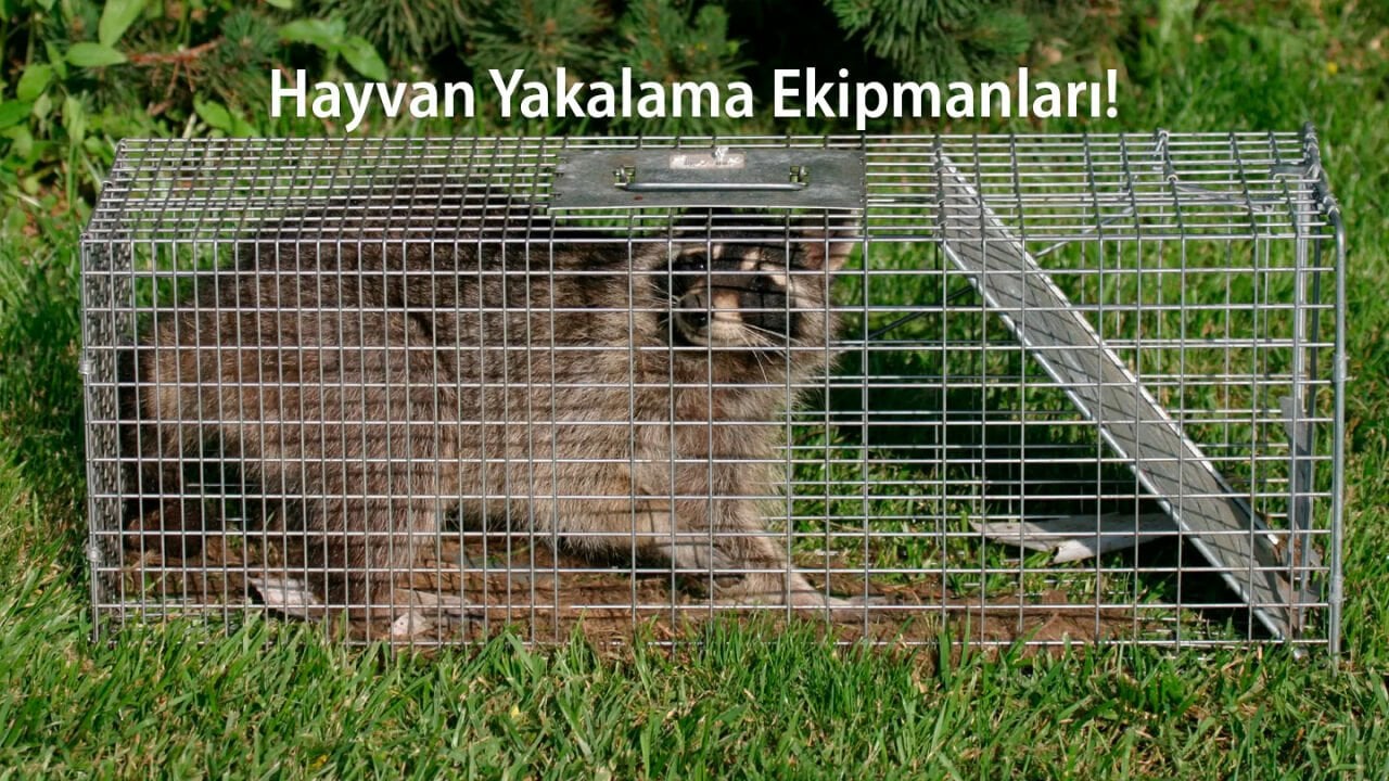 Hayvan Yakalama Ekipmanları