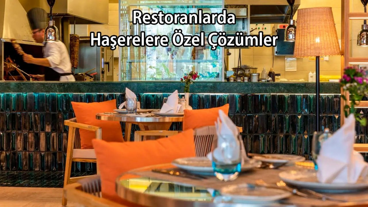 Restoranda Haşere Çözümleri