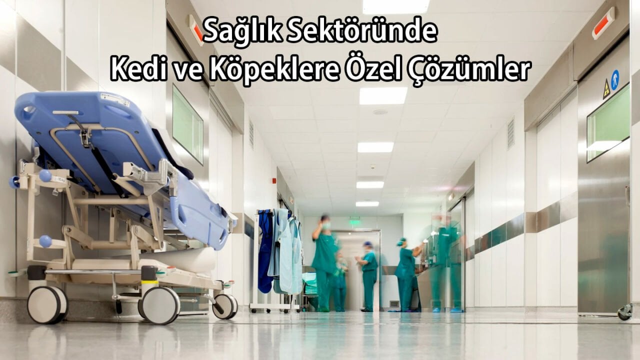 Sağlık Sektöründe Kedi – Köpeğe Özel Çözümler