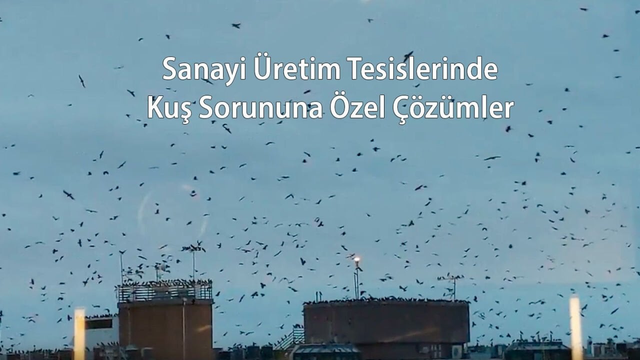 Sanayi Üretim Tesislerinde Kuşlara Özel Çözümler