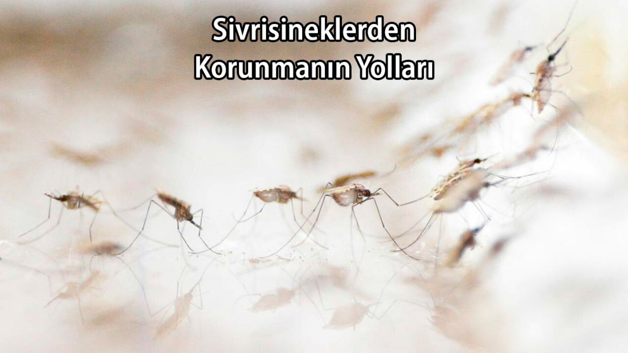 Sivrisineklerden Korunmanın Yolları