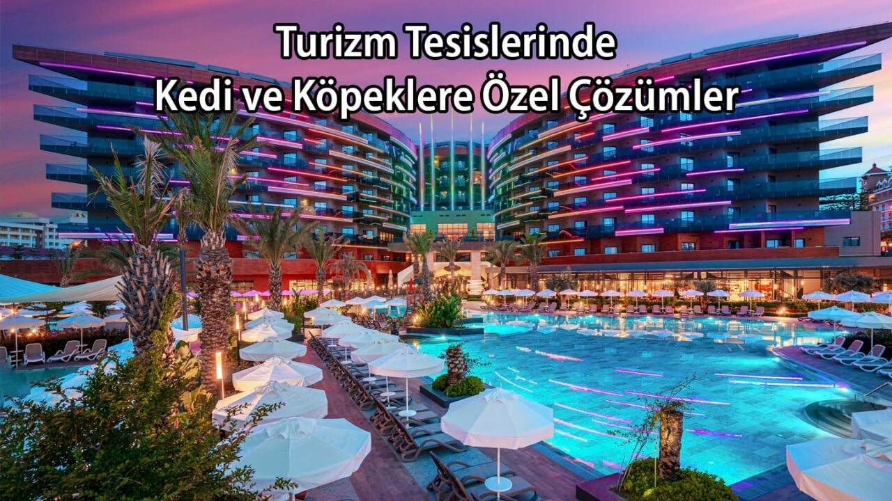 Turizm Tesislerinde Kedi ve Köpeklere Özel Çözümler