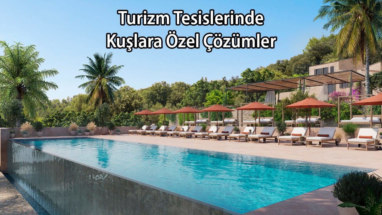 Turizm Tesislerinde Kuşlara Özel Çözümler