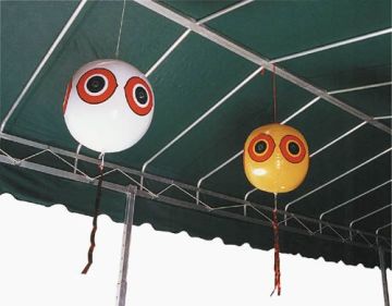 Kuş Kovucu Balon 3'lü Paket Bird-x Scare Eyes