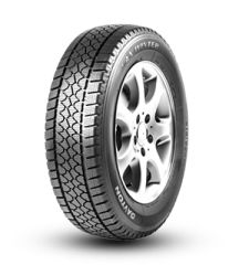 235/65R16C 121/119N Dayton Van Winter 12PR