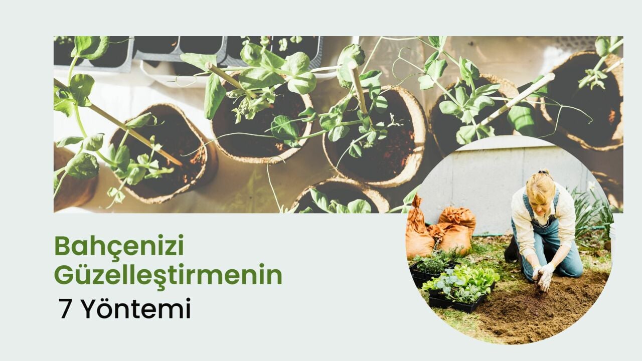 Bahçenizi Güzelleştirmenin 7 Yöntemi