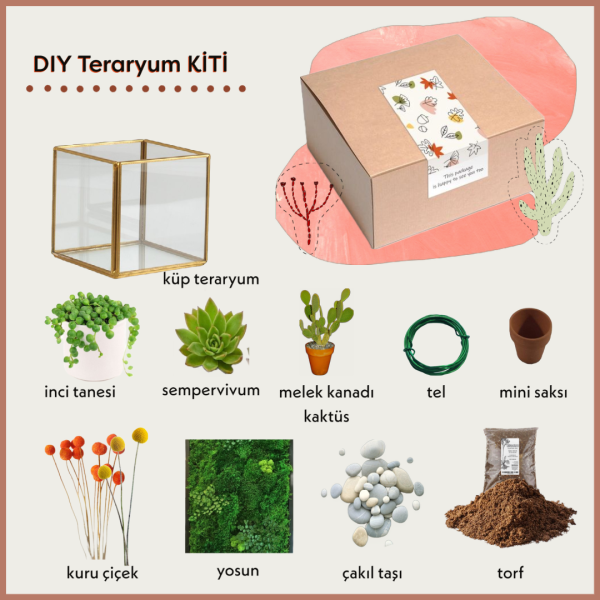 By Betula Terraryum Kit Akdeniz Esintisi