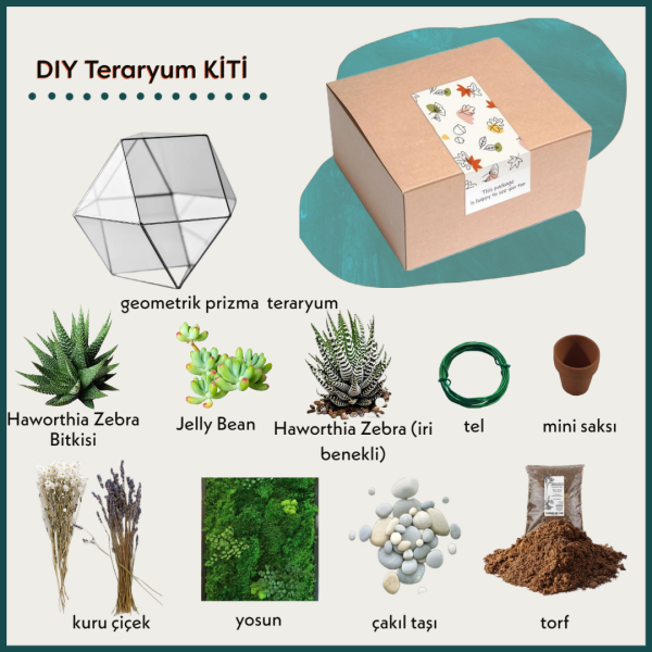 By Betula Teraryum Kit Lavanta Bahçesi