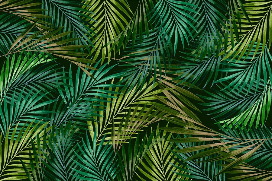 Egzotik Palmiye Yaprakları Duvar Kağıdı