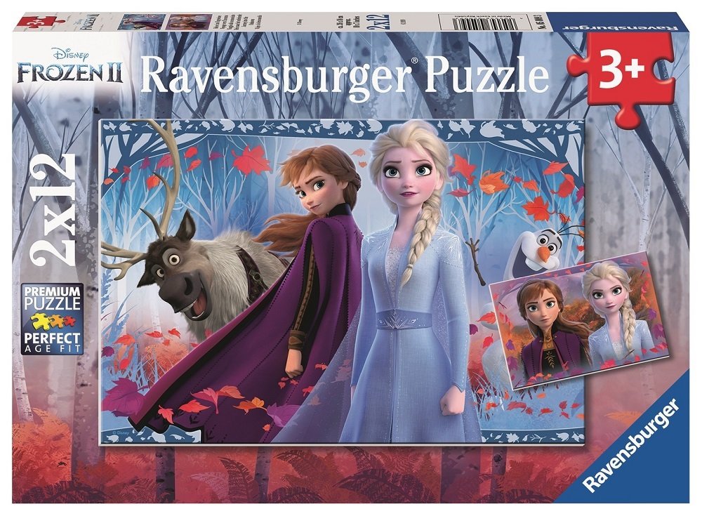 2x12p Puzzle WD Frozen2