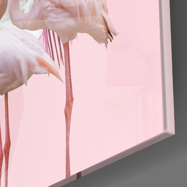 Flamingo Cam Tablo