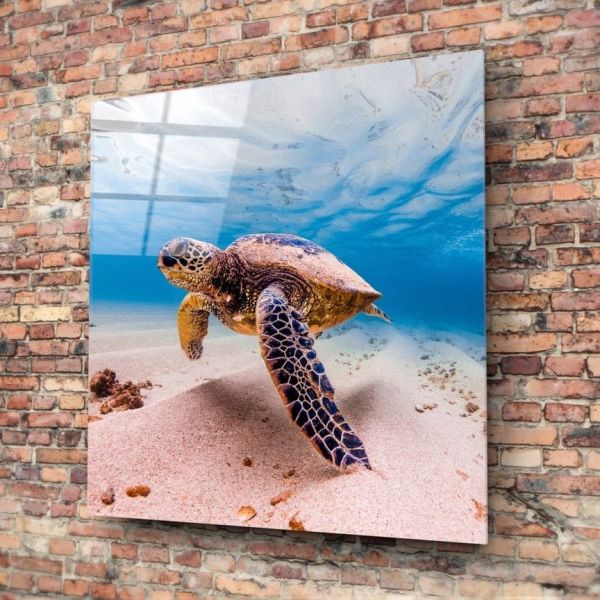 Deniz Kaplumbağası Cam Tablo No:1125