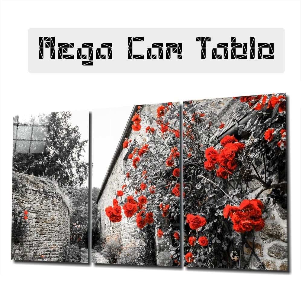Kırmızı Çiçekler Mega Cam Tablo