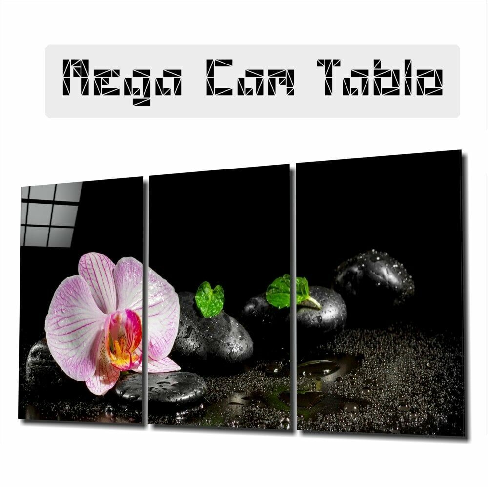 Orkide Mega Cam Tablo