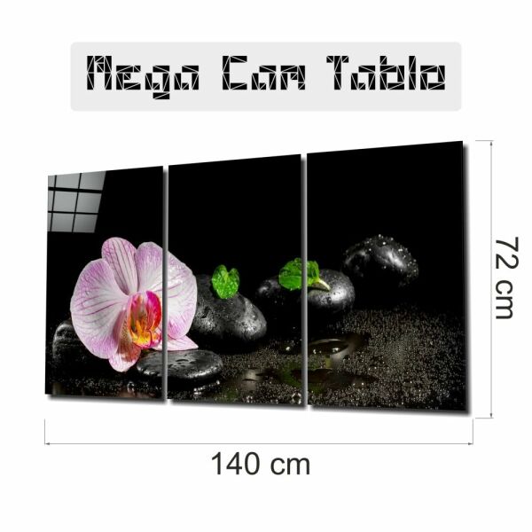 Orkide Mega Cam Tablo