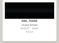 Renault Captur Yıldız Siyahı GNE Rötuş Boyası Seti M5 ReTouch Baz