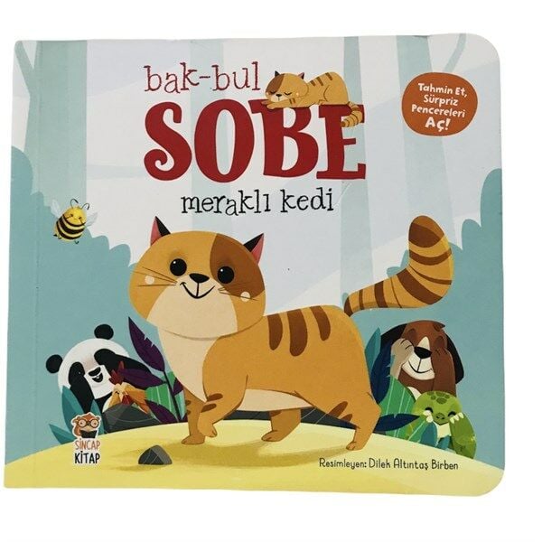 Sobe Meraklı Kedi