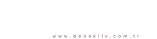 bebeklik Logo