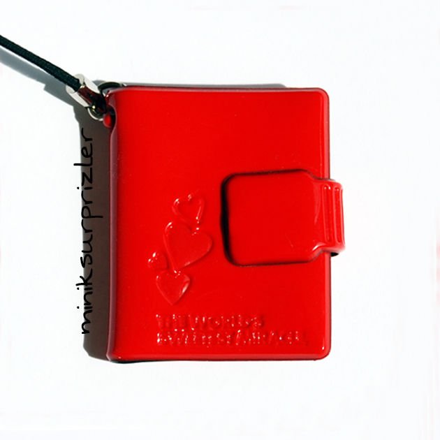 Mini Albüm Kırmızı Enamel