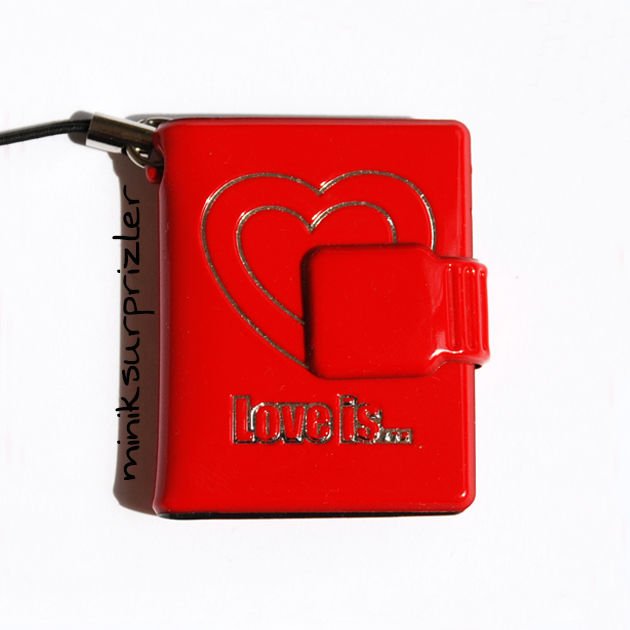 Mini Albüm Kırmızı Love is Enamel