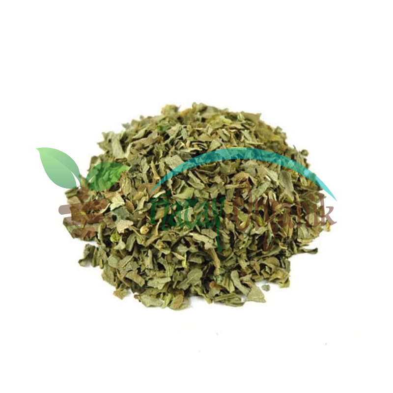 FESLEĞEN 100 GR