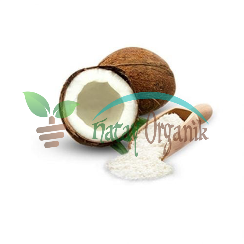 HİNDİSTAN CEVİZİ TOZU (300 GR)