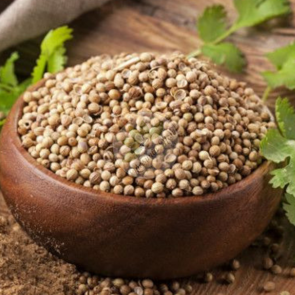 KİŞNİŞ TANE 200 GR